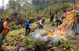 Kết hợp chính sách dân tộc với phòng chống ma túy